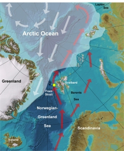 Bathymetric map of the Norwegian-Greenland Sea and Arctic Ocean (base map: www.ibcao.org). White shading marks average summer sea ice cover. White arrows mark ice drift directions. Red arrows mark the transport path of warm Atlantic water entering the Arctic where it submerges under the cold, ice-covered surface layer. The yellow spot marks the site the sediment core used in the study was taken from. Image courtesy of Robert Spielhagen (IFM-GEOMAR, Kiel)