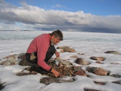 Gifford Miller collects vegetation samples on Baffin Island. Credit: University of Colorado, Boulder.