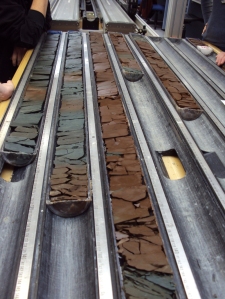 Picture of a spliced drill core from the Southern Ocean. Much multidisciplinary research focuses on reconstructing fossil environments using information from the fossil ocean floor. Credit: Shipboard Scientific Party of IODP Leg 318]