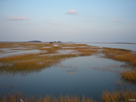 The marshes of Plum Island Estuary, Massachusetts, are among those predicted by scientists to submerge during the next century under conservative projections of sea-level rise. Credit: Matthew Kirwan, USGS