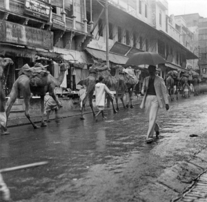 Downpours like this one in Varanisi, India, in 1944, are set to become more common on average worldwide as the planet warms - although less so than simple physics alone suggests, and in a pattern that will mean that some areas will see decreasing precipitation. Credit: The National Archives UK
