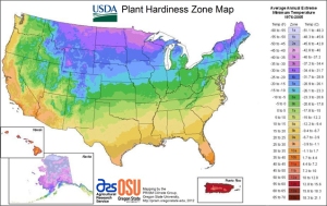 This is the 2012 Plant Hardiness Zone Map from the US Department of Agriculture with revised half zone colour coding. Credit: US Department of Agriculture